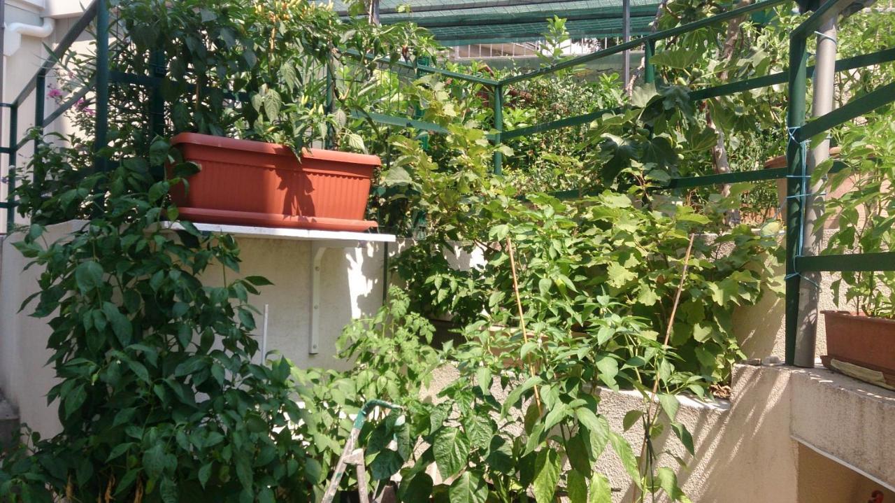 Apartman Paro Spalato Esterno foto